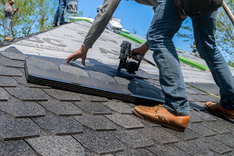 asphalt shingle roof installation — roofing in the East Bay